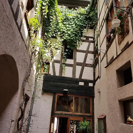 Nocleg ze śniadaniem Au Cep De Vigne