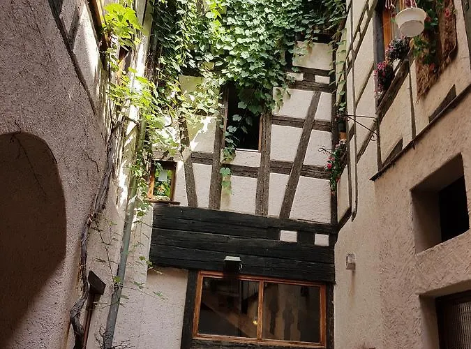 Nocleg ze śniadaniem Au Cep De Vigne